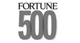 世界500强企业指定合作